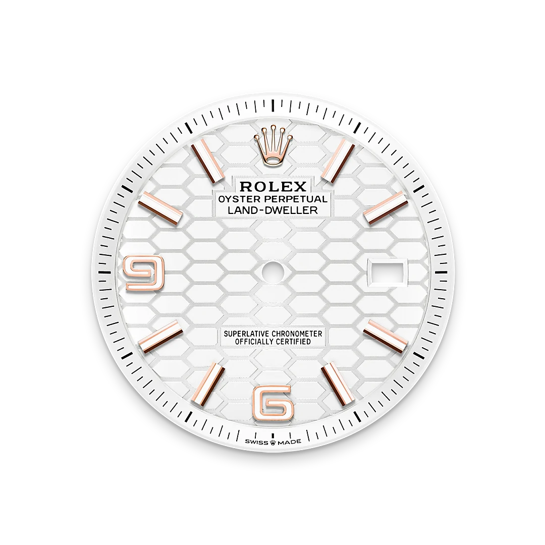 Rolex Land-Dweller m127335-0001 esfera