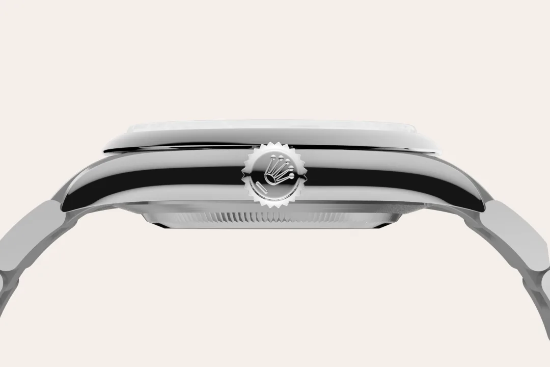 Rolex Oyster Perpetual m134300-0006 material